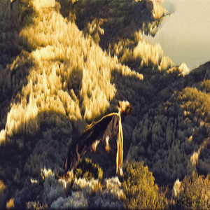 Forrest by Parabel