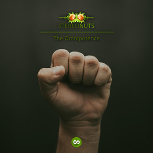 Stereo Nuts - The Omnipotence (Orchestral Version)