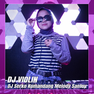DJ Violin - DJ Serko Kumandang Melody Santuy