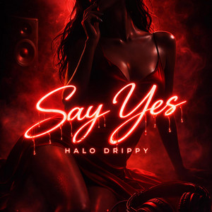 Say Yes by Halo Drippy