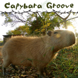 Capybara Groove by カピ王国