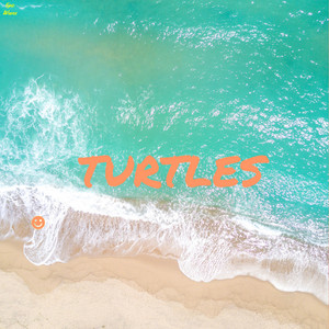 Turtles album