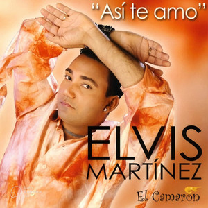Dile by Elvis Martinez El Camarón