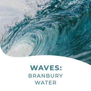 Waves: Branbury Water album