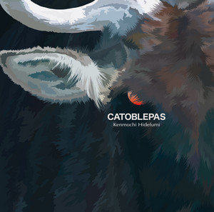 Kenmochi Hidefumi／Falliccia 12インチレコード MONONOKE RECORDS|12インチシングルレコード|【ハードオフ公式通販