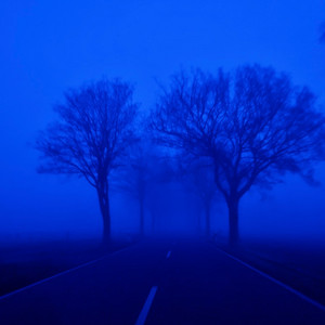 night drive