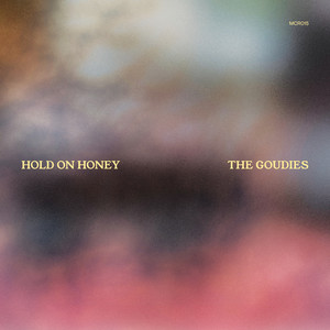 Hold On Honey by The Goudies