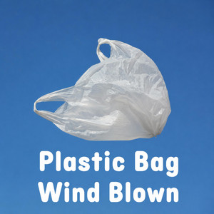 Wind Blown by Plastic Bag