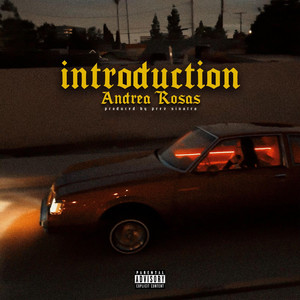 Andrea Rosas - INTRODUCTION