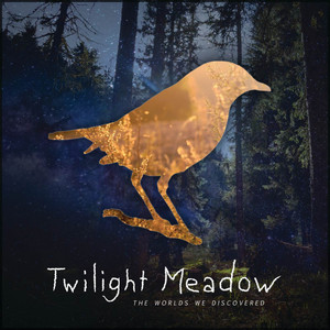 The Worlds We Discovered (Matthew Parker Remix) by Twilight Meadow, Matthew Parker