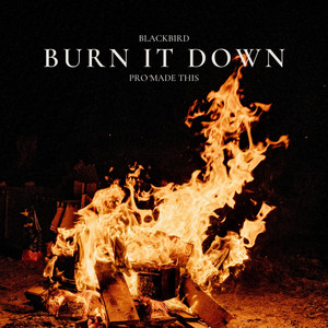 BURN IT DOWN by Blackbird, Pro Made This