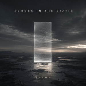 Echoes in the Static by Roomk