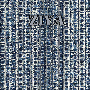 Ziya by Floyd Mcculloch