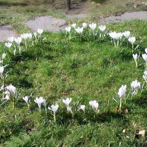 r000 - tell me 2 stop