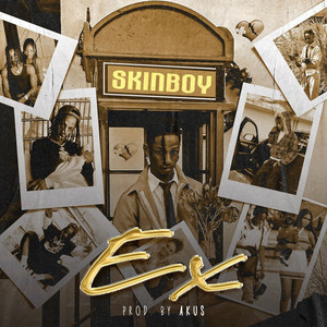 Skinboy - Ex