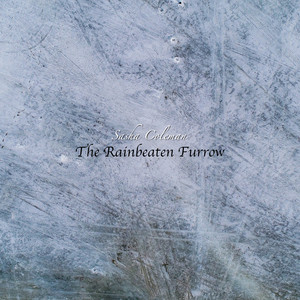 The Rainbeaten Furrow by Sasha Coleman