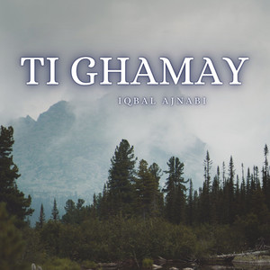 Iqbal Ajnabi - Ti Husnay Jamale