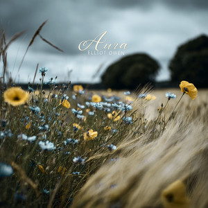 Undergrowth by Elliot Owen