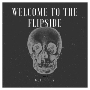 Welcome to the Flipside poster
