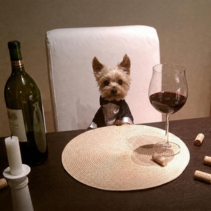 BON APPETİT by Utku
