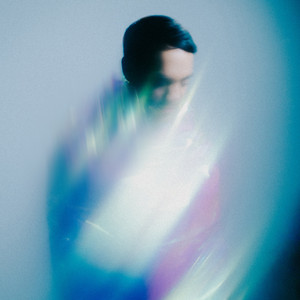 A Flower Growing Where It Shouldn't by Felix Rösch, Echo Collective