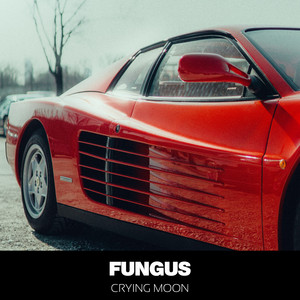 The Rookie Season - Album by Fungus | Spotify
