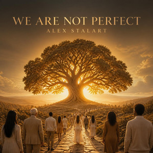 We Are Not Perfect - Reimagined by Alex Stalart