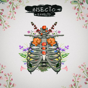 INSECTO by ErreLtD