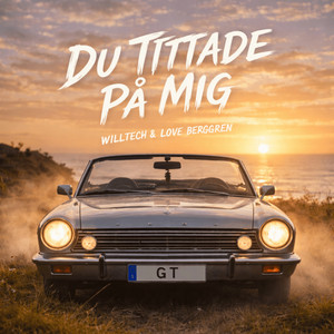 DU TITTADE PÅ MIG by WillTech, Love Berggren