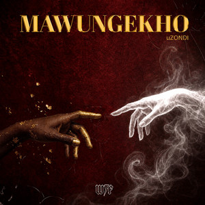 Mawungekho by WtF, uZondi