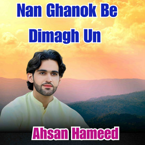 Ahsan Hameed - Nan Ghanok Be Dimagh Un