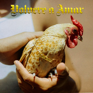 Volveré a Amar by Los Eclécticos
