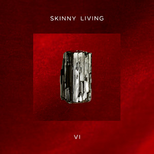 Why by Skinny Living