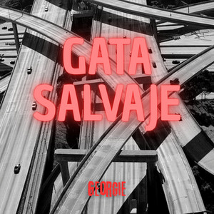 Gata Salvaje by Georgie