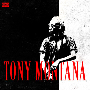 TVLM - Tony Montana