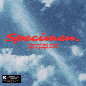 SPÉCIMEN by Le JK