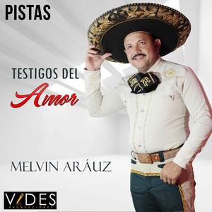 Hay Que Aprovechar el Tiempo by MELVIN ARAUZ