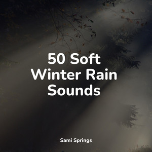 50 Soft Winter Rain Sounds album