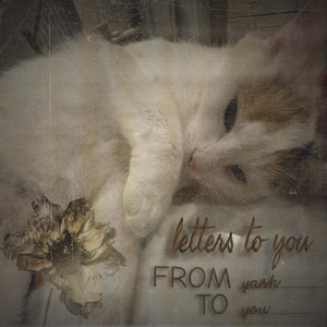 failing love by yash