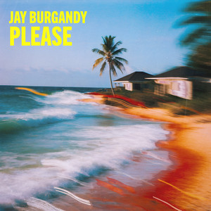 please by Jay Burgandy