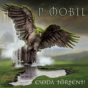 Csoda történt cover