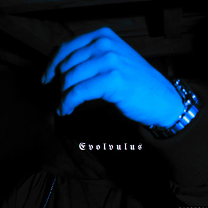 Evolvulus by Pelo Delazone