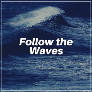 Follow the Waves album