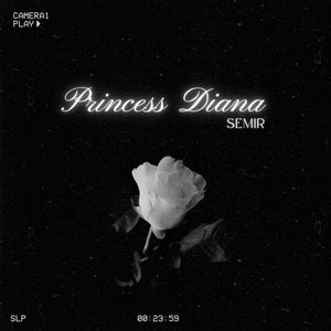 Princess Diana by Semir