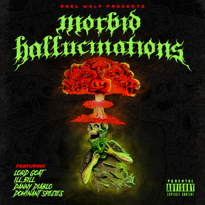 Morbid Hallucinations