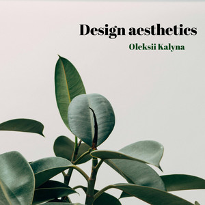 Design aesthetics