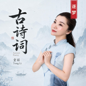童丽Tong Li | Spotify