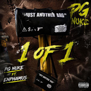 1 OF 1 by PG Nuke, Enphamus