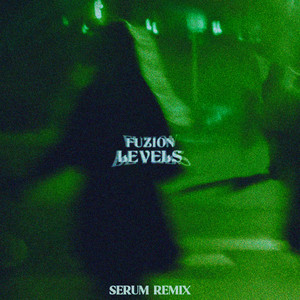LEVELS - Serum Remix by Serum cover art