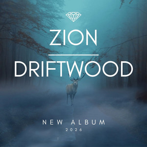 Justice in the Groove by Zion DriftWood